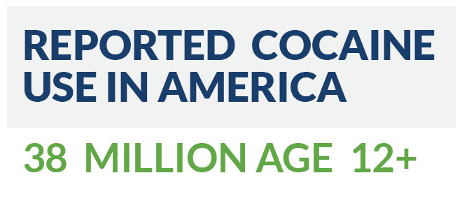 approximately 38 million Americans age 12 and over reported using cocaine in their lifetime